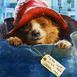 Gra miś Paddington dla dzieci