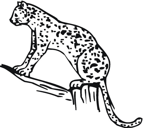 Kolorowanka gepard