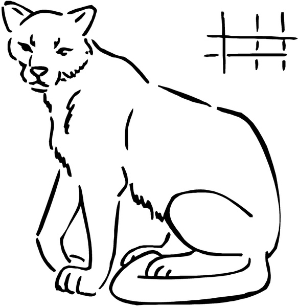 Kolorowanka puma