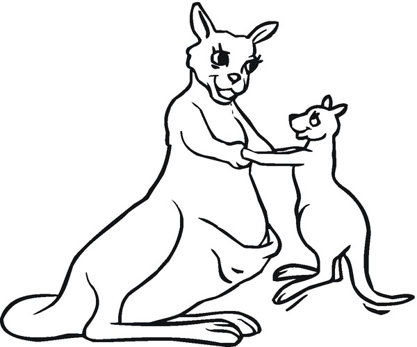 Kolorowanka z kangurem