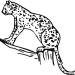 Kolorowanka gepard