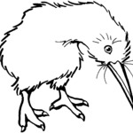 Kolorowanka kiwi